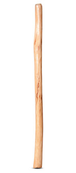 Medium Size Natural Finish Didgeridoo (TW460)
